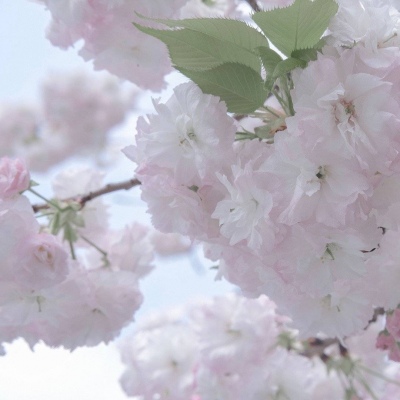 诸暨FurryQQ群介绍